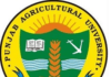 Punjab Agricultural University Recruitment 2021