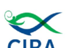 CIBA Recruitment 2021