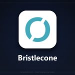 Bristlecone