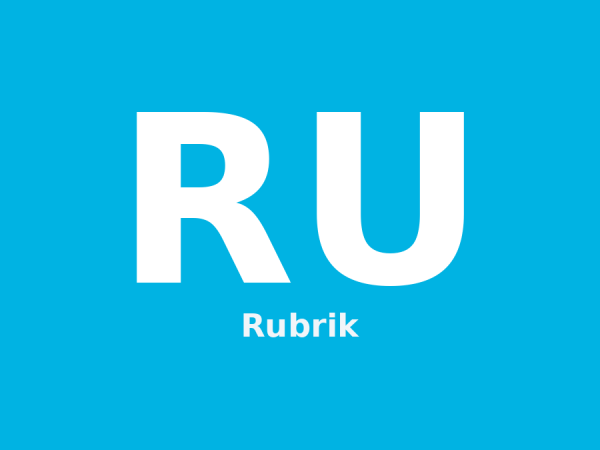 Rubrik logo
